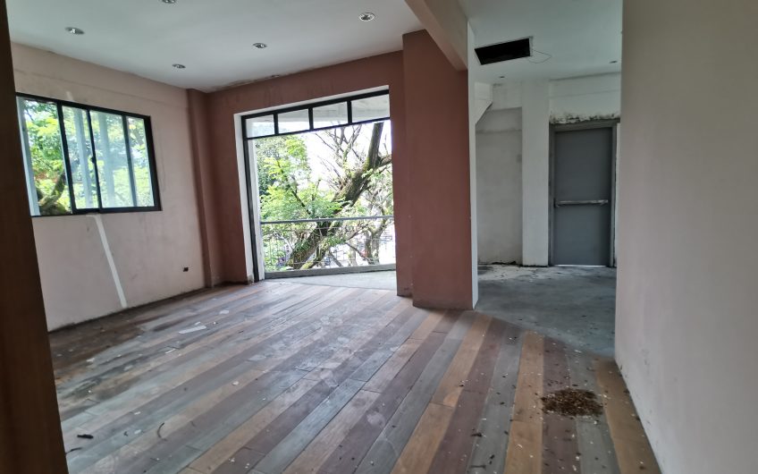 BATASAN COMMERCIAL PROPERTY FOR SALE